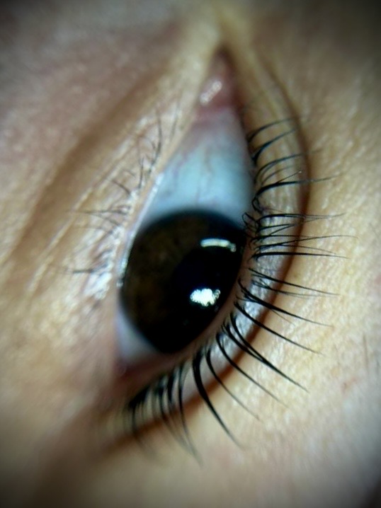 Lifting mas laminado de cejas.
